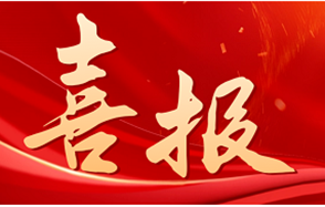 ף�أ��ǹ��ɶԹ����ɷ��ܲ��⺣���ٻ񡰹���ʡ�����Ž�ǰ��ģ��С��˽�ҡ��ƺ�